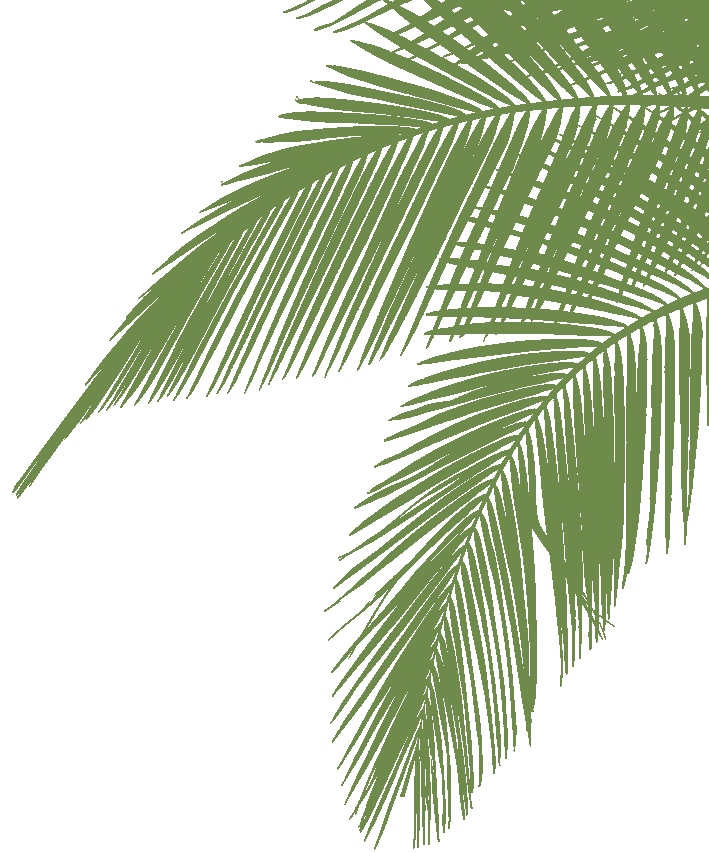 Trehan 3 BHK Luxury Floors